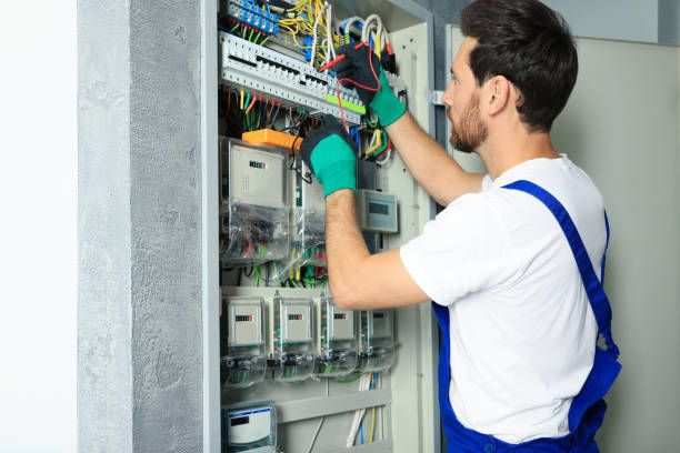 Best Electrical System Inspection  in Shafer, MN